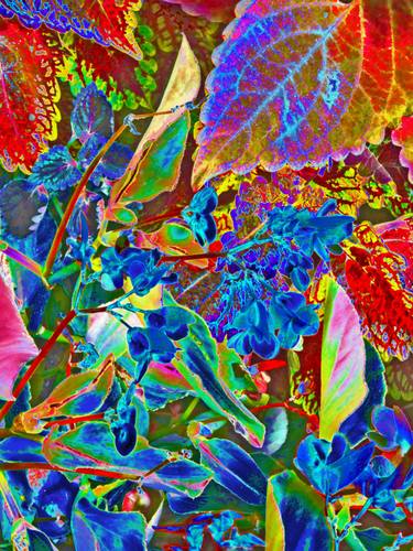 Original Abstract Botanic Mixed Media by Mark Ross