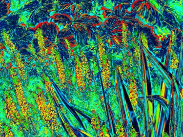 Original Abstract Botanic Mixed Media by Mark Ross