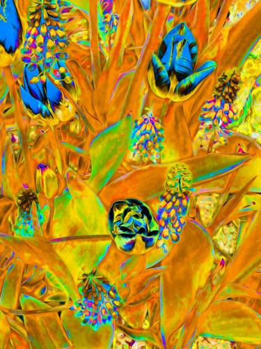Original Contemporary Floral Mixed Media by Mark Ross