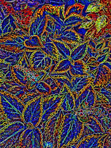 Original Contemporary Botanic Digital by Mark Ross