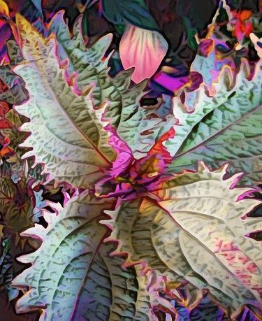 Original Conceptual Nature Mixed Media by Mark Ross