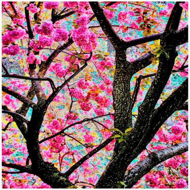 Original Expressionism Nature Mixed Media by Mark Ross