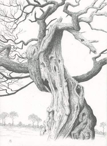 Original Fine Art Tree Drawing by Tony Galuidi