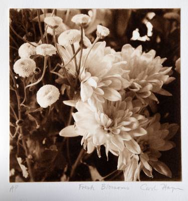 Original Realism Botanic Printmaking by Carol Hayman