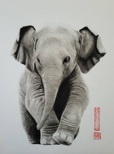 Original Fine Art Animal Drawing by Arthur Heng