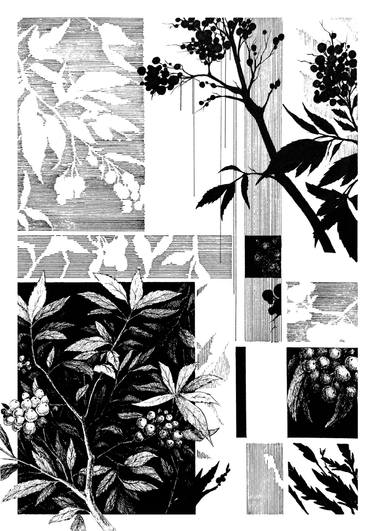 Original Black & White Floral Drawing by Sergii Simutin