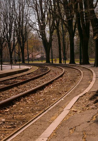 Original Conceptual Train Photography by Rafael Benetti