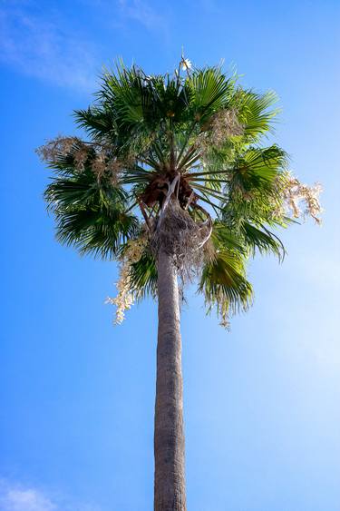 Original Classicism Beach Photography by Rafael Benetti