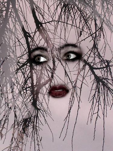 Original Conceptual Aerial Collage by Petra Brnardic