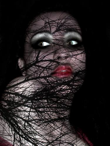 Original Conceptual Mortality Collage by Petra Brnardic