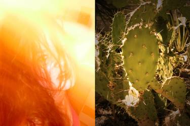 Original Conceptual Aerial Photography by Petra Brnardic