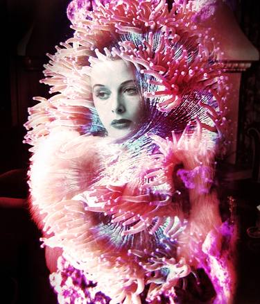 Original Conceptual Aerial Digital by Petra Brnardic