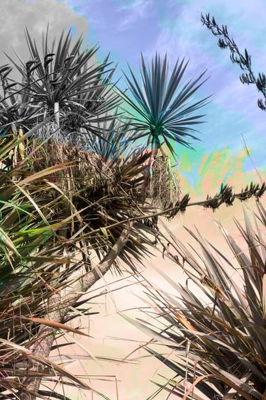 Original Fine Art Botanic Photography by Geraldine Haas