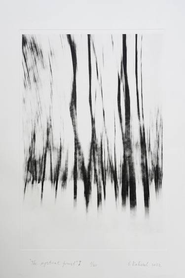 Original Abstract Landscape Printmaking by Vasilii Riabovol