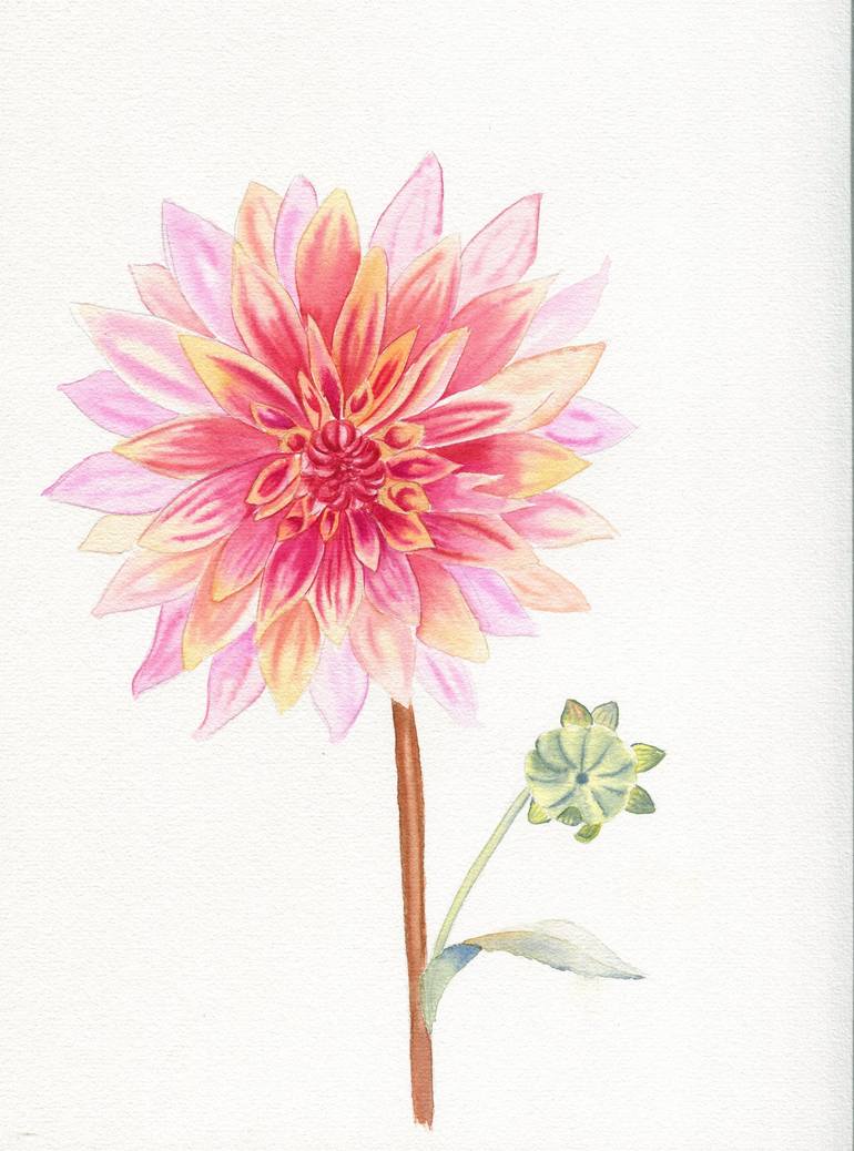 Dahlia flower Painting by Olha Shulhina | Saatchi Art