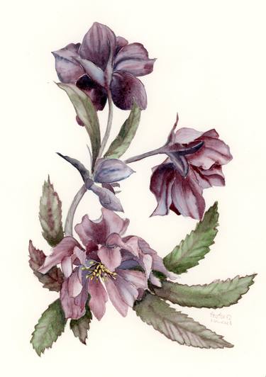 Original Contemporary Botanic Painting by Halyna Nechyporuk