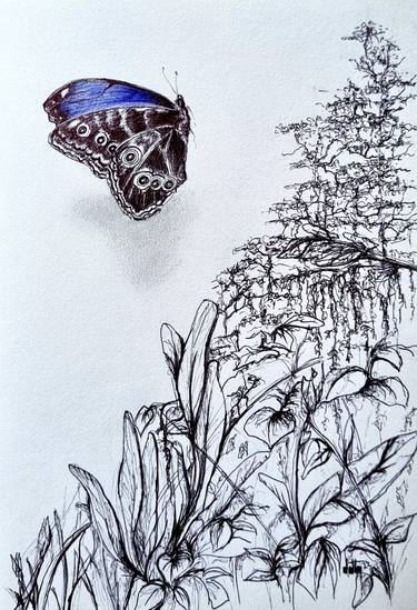 Original Conceptual Garden Drawings by Dotty Du