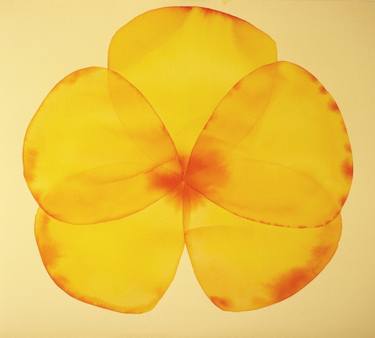 Original Abstract Floral Drawings by Jitka Anlaufova