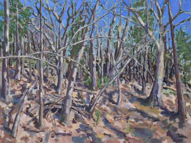 Original Contemporary Tree Paintings by Stephen Florimbi