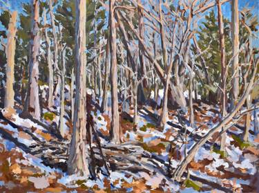 Original Contemporary Nature Painting by Stephen Florimbi