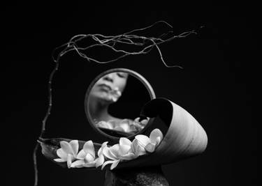 Original Conceptual Floral Photography by Xidong Luo