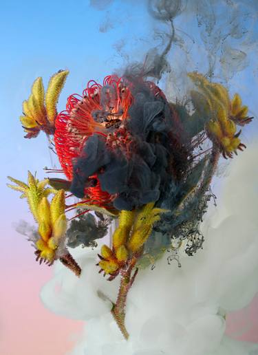 Original Conceptual Floral Photography by Franca Turrin