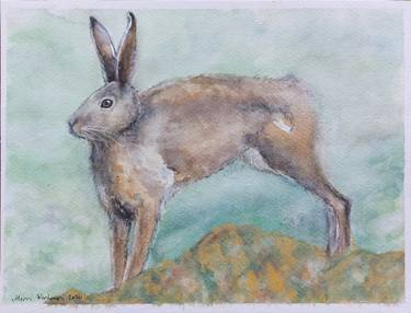 Original Contemporary Animal Paintings by Mervi Korhonen