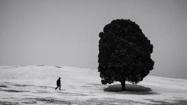 Original Street Art Tree Photography by Simpson Kim