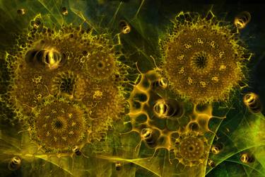 Original Fractal Animal Digital by Hoshi Neko