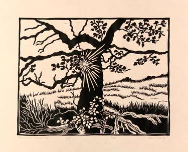 Original Contemporary Tree Printmaking by Karen Barry
