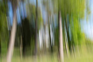 Print of Impressionism Tree Photography by Pietro Cenini