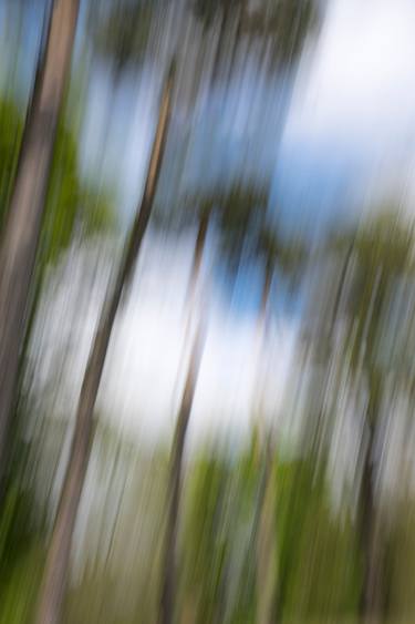 Original Impressionism Tree Photography by Pietro Cenini