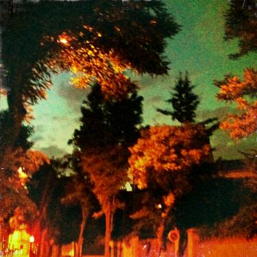 Original Expressionism Fantasy Photography by Harrie Blommesteijn