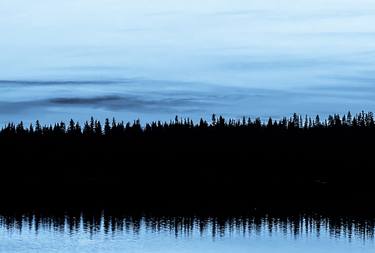 Original Contemporary Landscape Photography by Ellen Liguori