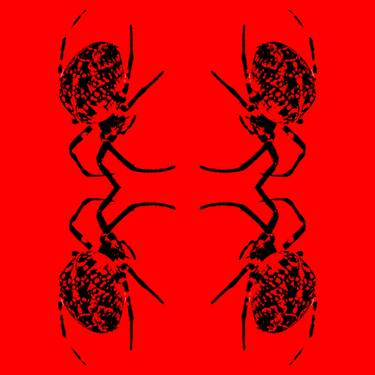 Original Abstract Expressionism Animal Photography by Sergio Luiz Cerezer Benetti