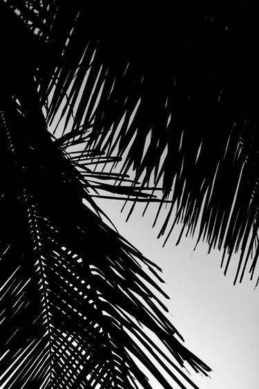Original Abstract Expressionism Beach Photography by Sergio Luiz Cerezer Benetti