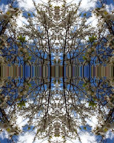 Original Abstract Landscape Digital by Maximilian Vermilye