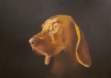 Original Contemporary Animal Paintings by Hannah Fox Harper