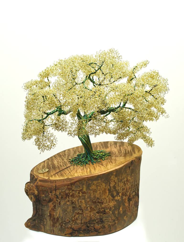 Original Contemporary Tree Sculpture by Helene Barrott