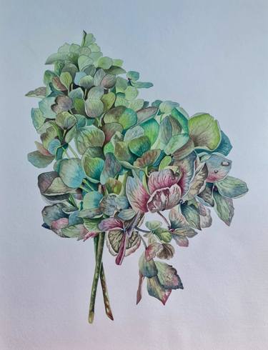 Original Classicism Botanic Paintings by Olga Poruchikova