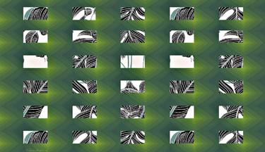 Original Abstract Nature Digital by Valerie Hartman