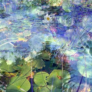 Original Conceptual Botanic Digital by Patrick Beilman