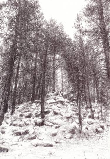 Original Realism Landscape Drawings by Colleen Blackard