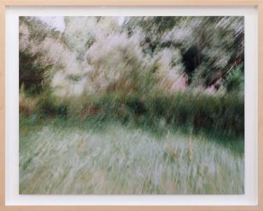 Original Abstract Nature Photography by Martijn Roelofs
