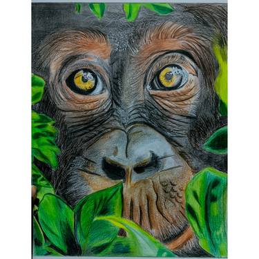 Original Abstract Animal Drawings by Sundar  R
