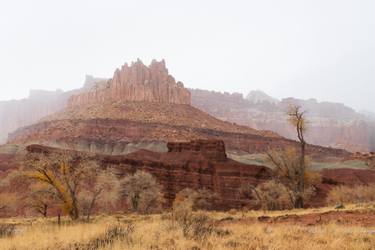 Original Contemporary Landscape Photography by Mario Jaramillo
