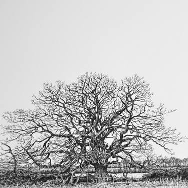 Original Figurative Tree Printmaking by Chris Dunseath