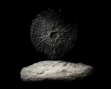 Original Fractal Nature Sculpture by Dario Panzica Pan