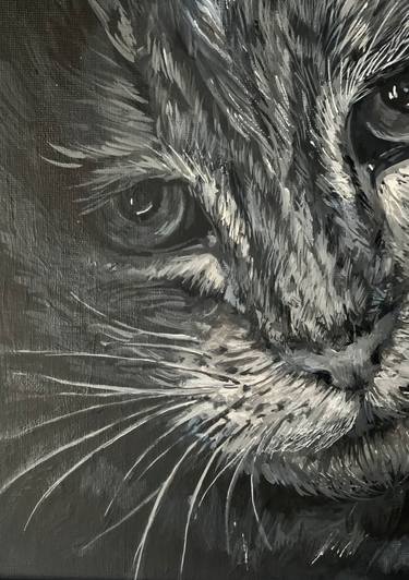 Original Photorealism Cats Paintings by Anton Soldatov