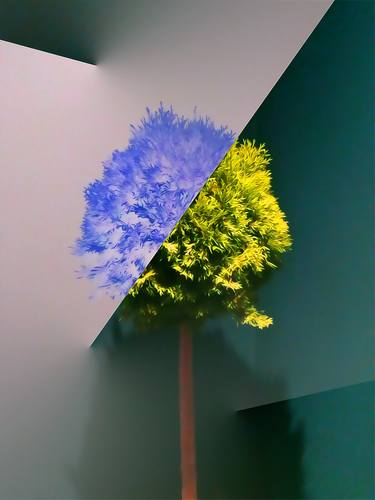 Original Conceptual Nature Digital by Marek-Lars Kruusen
